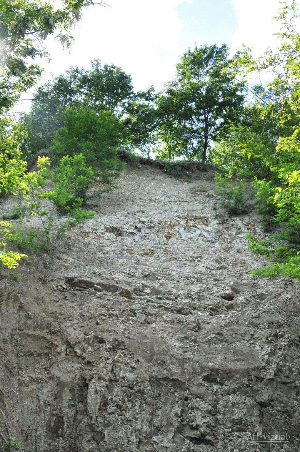 PALEONTOLOGICKÉ NÁLEZISKO Čierny potok Cerová